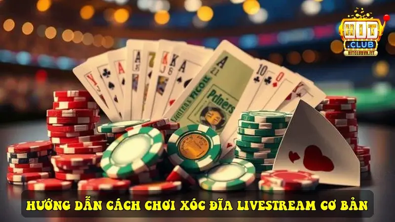 Hướng Dẫn Cách Chơi Xóc Đĩa Livestream Cơ Bản